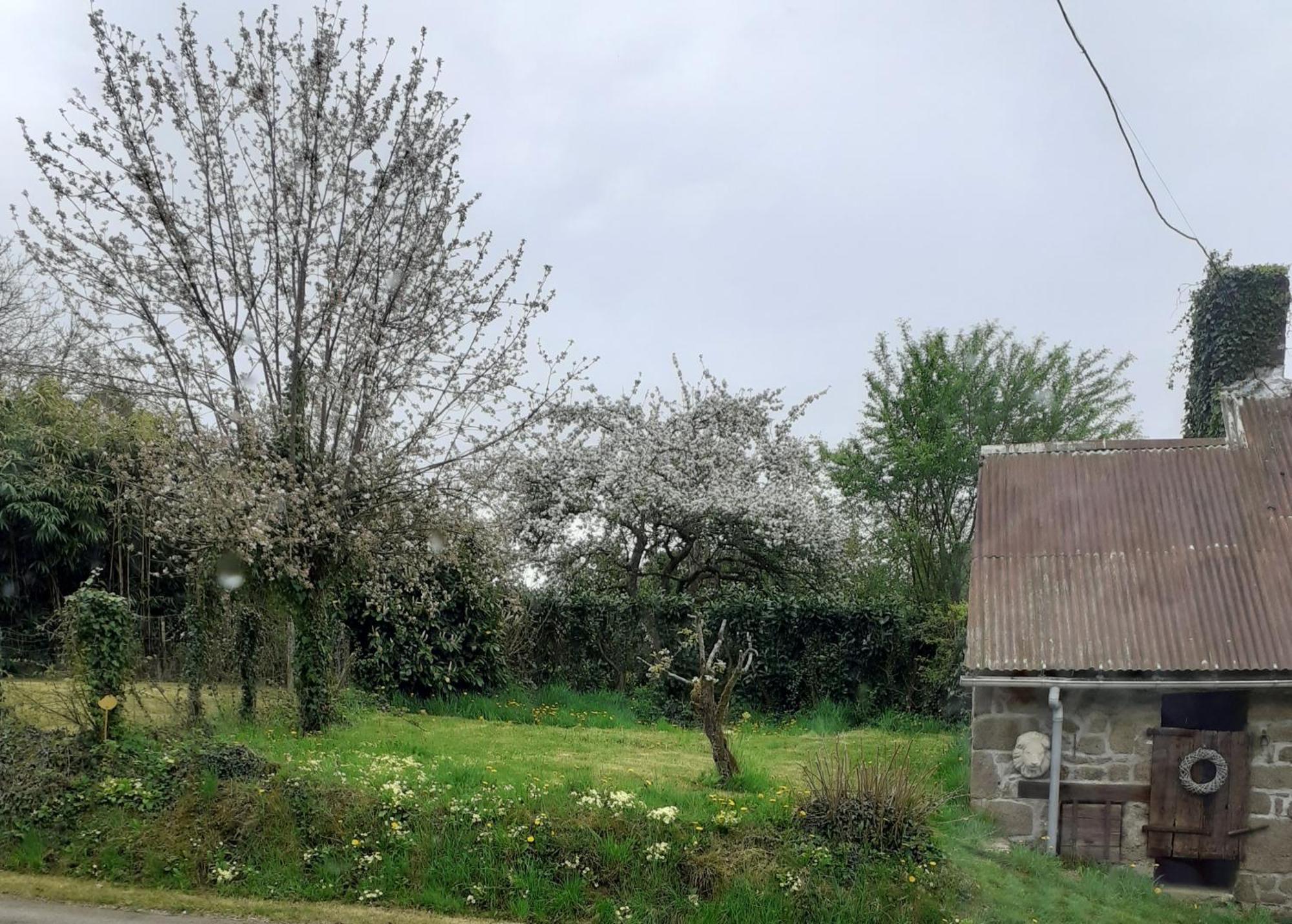 Wildberry Cottage Orgères-la-Roche Buitenkant foto